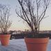 Lizzie Allison - Facebook