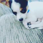 Lizzie Boyd - @lizzy_2924 - Instagram