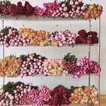 Lizzieford.co.uk - @lizziefordflowers2024 - Instagram