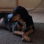 Lizzie Gamble - @lizziegamblesworld - Instagram