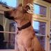 Lizzie Howell - Facebook
