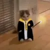 lizzie_hufflepuff - @lizzie_hufflepuff - TikTok