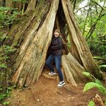 Lizzie Hunter - @ehunter1643 - Instagram