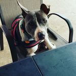 Elizabeth Buffington Knott - @lizzielovestoread - Instagram