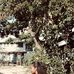 Lizzie Lee - Facebook