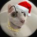 Lizzie Lee - Facebook