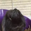 Lizzie Lowe - @lizzie.lowe - TikTok