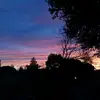 Liz.s - @lizziesilvero - TikTok