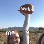 i like walls - @wallsbylizzie - Instagram
