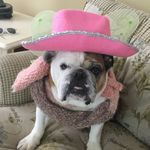 Lizzy Cross - @doggy_lover_1129 - Instagram