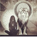 Lloyd Adams - @cofintl.180072 - Instagram