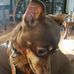 Lloyd Allison - Facebook