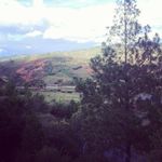 Lloyd Appelbaum - @lloydappelbaum - Instagram