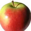 😂PilloydeAppel😂 - @pilloydeappel - TikTok
