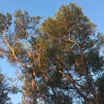@lloydbarnett - Instagram