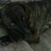 Lloyd Baird - Facebook