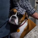Lloyd Ball - @lloyd_ball2772 - Instagram
