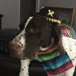 Lloyd barton - @lloydbbarton473 - Instagram