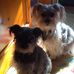 Lloyd Blackmon - Facebook