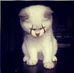Kenneth Lloyd Bruno - Facebook