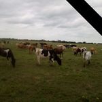Jimmy Lloyd Burch - @jimmylloydburch - Instagram