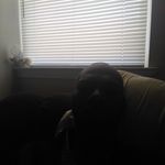 Lloyd Carey - @lloyd.carey.35 - Instagram