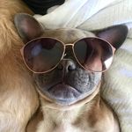 Lloyd Carey - @lloyd_chronicles - Instagram