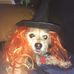 Lloyd Cary - Facebook