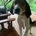 Lloyd Caudill - Facebook