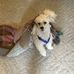 Loyd Caudill - Facebook