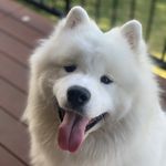 Lloyd the Land Cloud - @lloydthelandcloud - Instagram