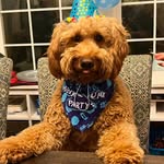 Lloyd Curtis - @lloyd.curtis.322 - Instagram