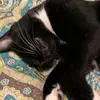 user309041567558 - @curtis.lloyd - TikTok