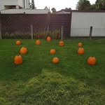 Lloyd Dean - @lloyddean67 - Instagram