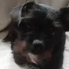 Lloyd Dillon - @lloyd.dillon1 - TikTok