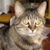 Lloyd Dobson - Facebook