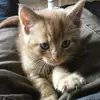jamie lloyd-draper - @jamie.lloyddraper - TikTok