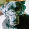Duke.Lloyd.acc🥸🧏🏻‍♀️🐶 - @duke.lloyd.acc - TikTok