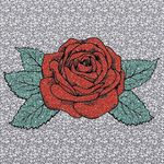 megan lloyd jones - @megan_lloyd_jones - Instagram