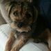 Lloyd Eldred - Facebook