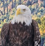 Eagle Lloyd - Facebook