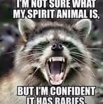 Lloyd Fellows Jr. - Facebook