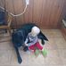 Lloyd Folsom - Facebook