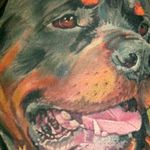 Lloyd Galloway - @lloydgalloway1 - Instagram