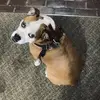 lloydgarner882 - @lloydgarner882 - TikTok