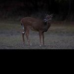 @lloydgilbert - Instagram