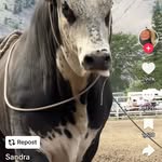 Lloyd Gough - @lloyd.gough.18 - Instagram