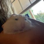 @lloyd.hammie - Instagram