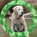 Lloyd Harris - Facebook