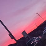Lloydharris - @lloyd.harris26 - Instagram